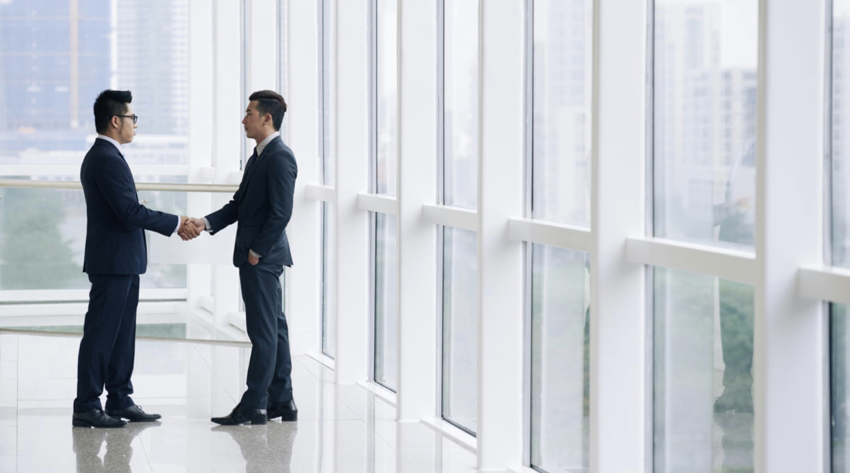 professionals shaking hands